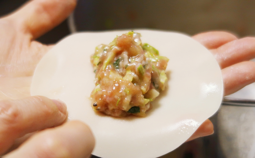 餃子の皮と餡